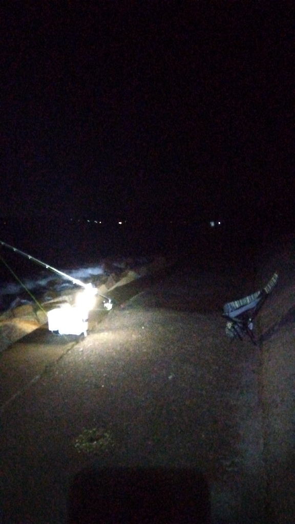 苅屋海岸のキス釣り