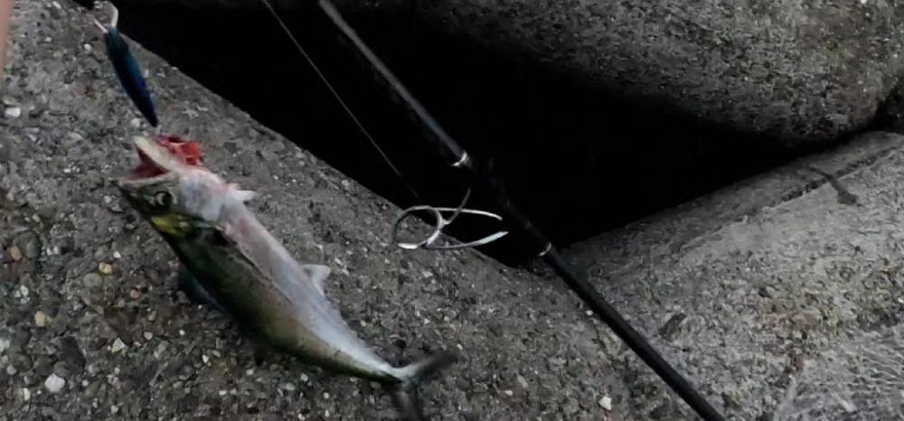 ここにもキタ━━━( ̄∀ ̄)━━━ッ!!!