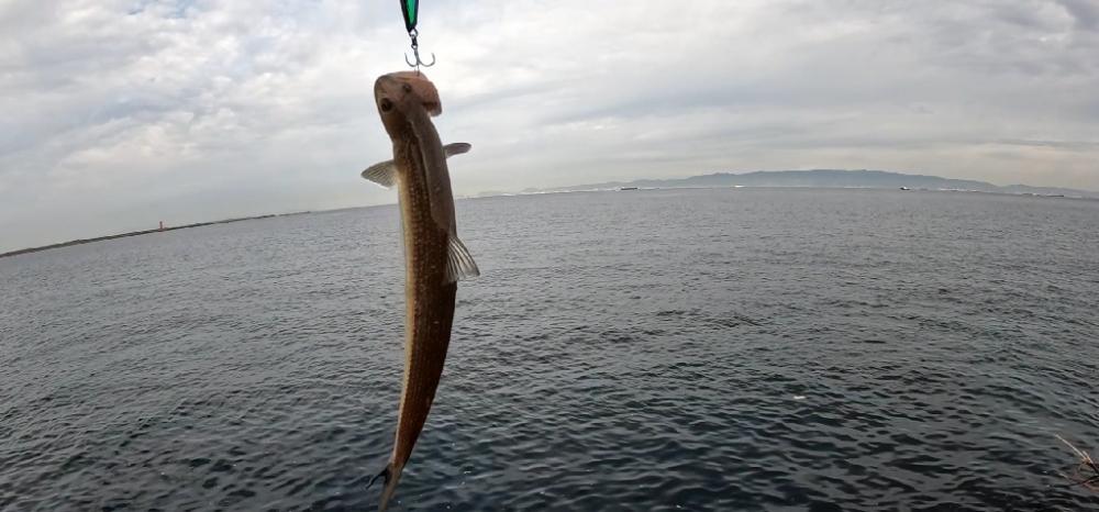 シーズン本格化?