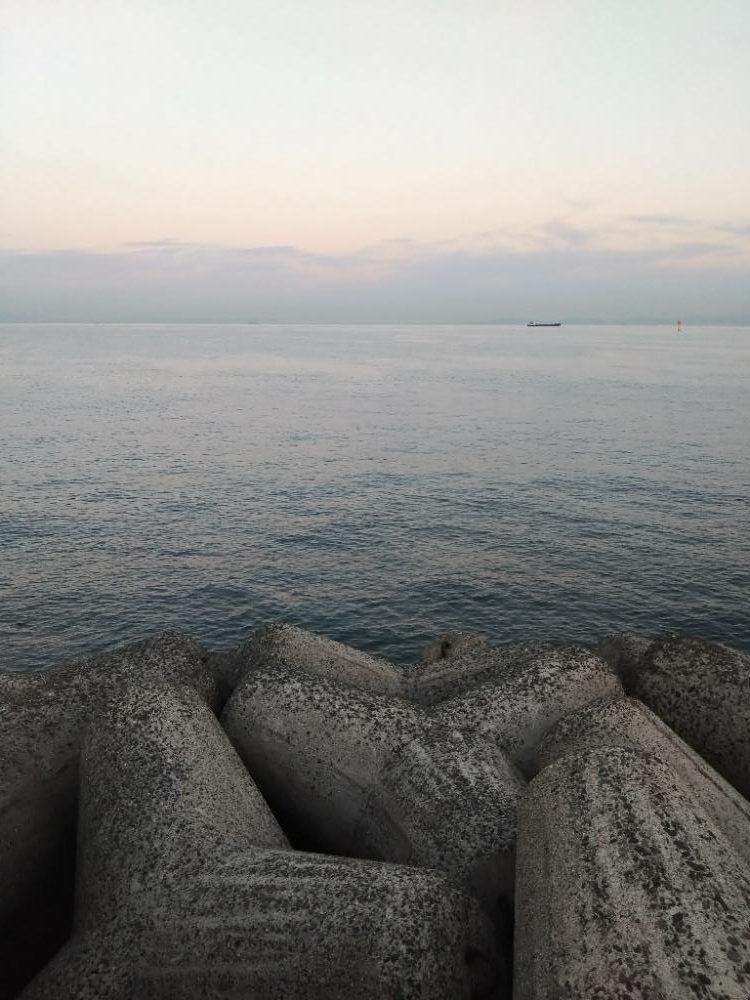 朝マヅメにメジロ