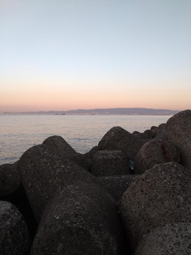 メジロ1、サゴシ3、エソ1