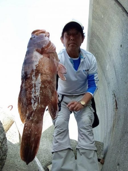 プチsalt water game