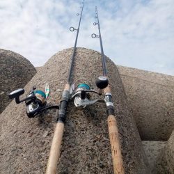 プチsalt water game