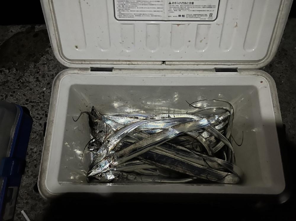 絶叫!と悲鳴!!　久しぶりよ～・・もっときてぇ～～