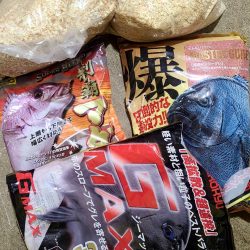 和歌山市江(吉丸渡船)でグレ釣り