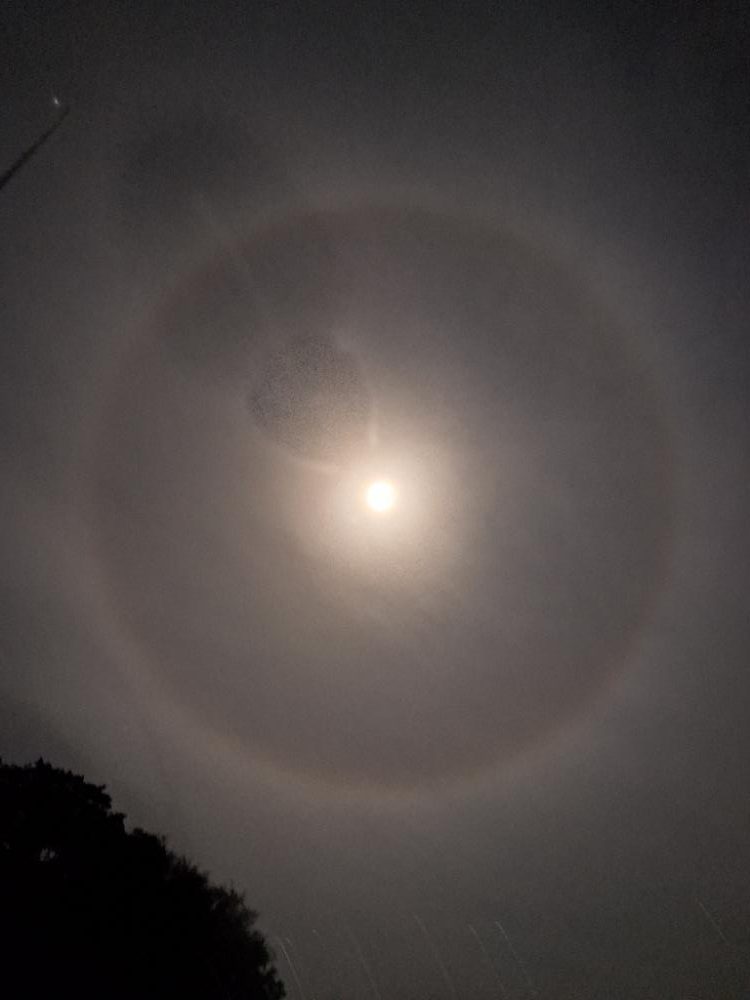 今季初エギング