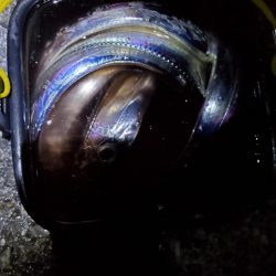 夕マズメ、短時間のタチウオ狙い