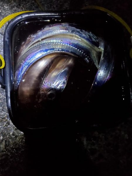 夕マズメ、短時間のタチウオ狙い