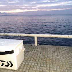 秋の夜長にタチウオ釣り