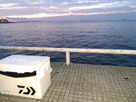 秋の夜長にタチウオ釣り