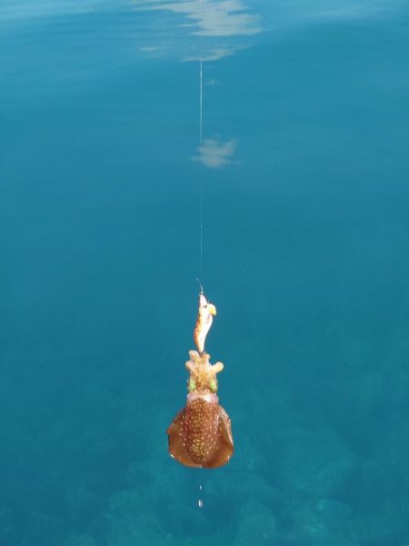 デイエギングIN対馬