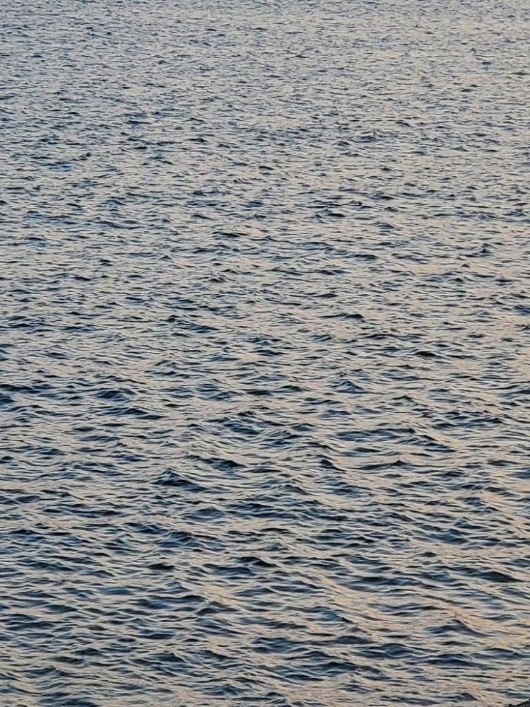 朝マズメのエギング