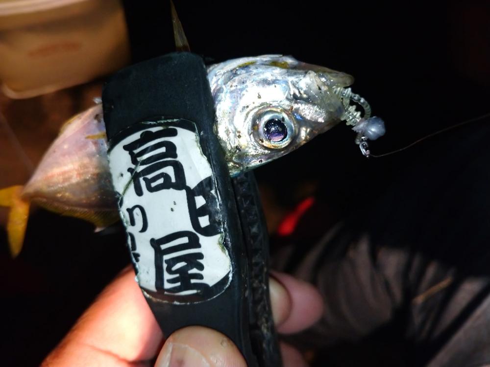 今夜のアジング