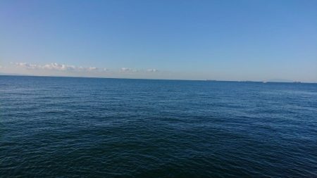 タ、ターポン！？