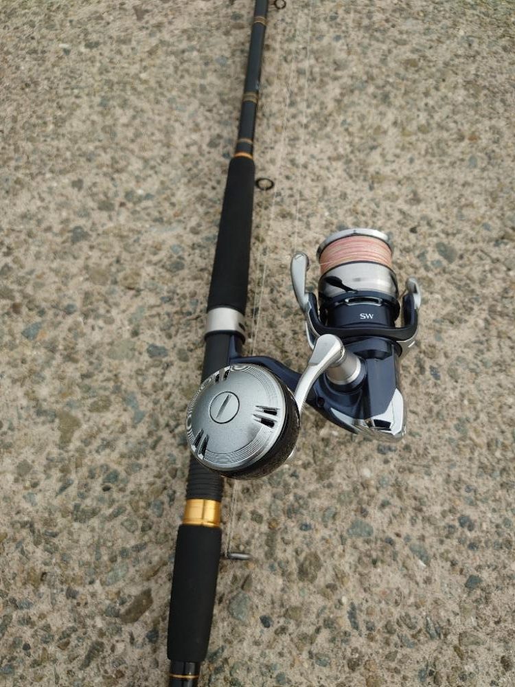 ショアジギング