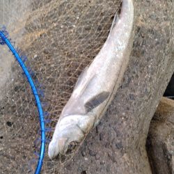 北西風で荒れ荒れ