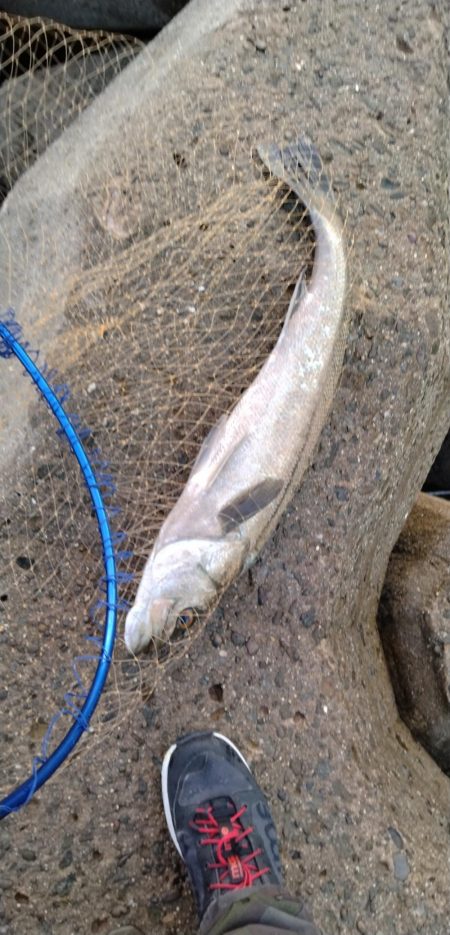 北西風で荒れ荒れ