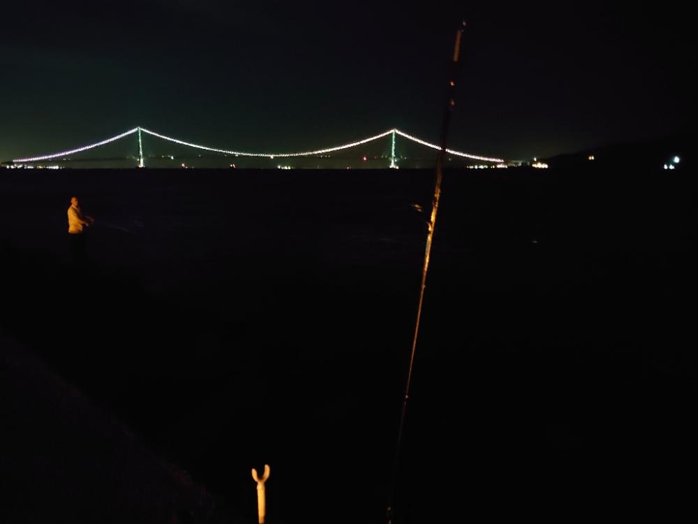 またまたタチウオテンヤ🎣