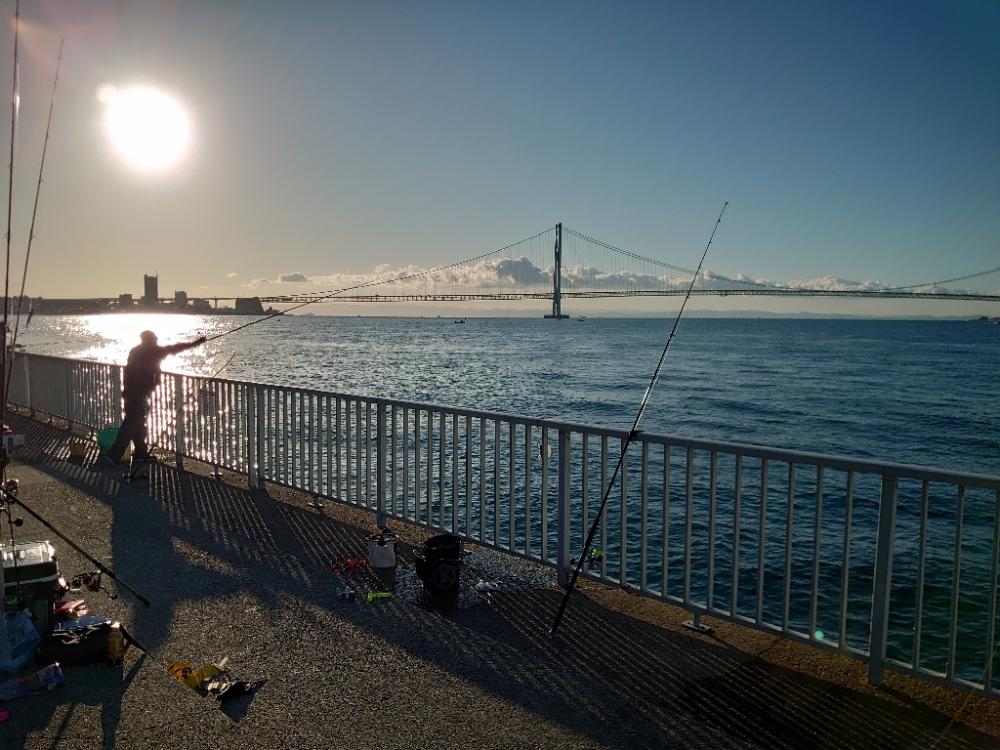 アジングとノマセ釣りとショアジギングの欲張り釣行🎣