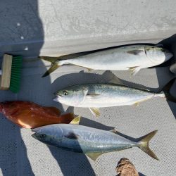 古江湾レンタルボートにて