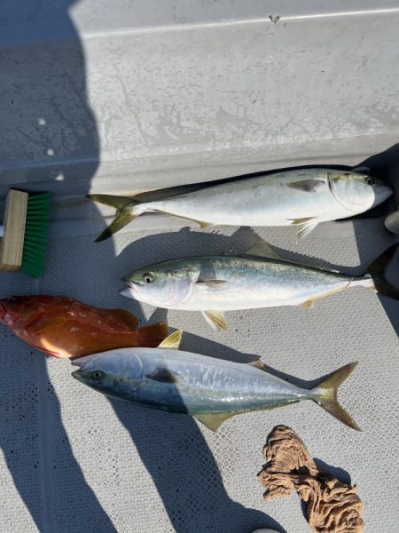 古江湾レンタルボートにて