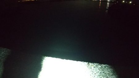 今季初メバル☆