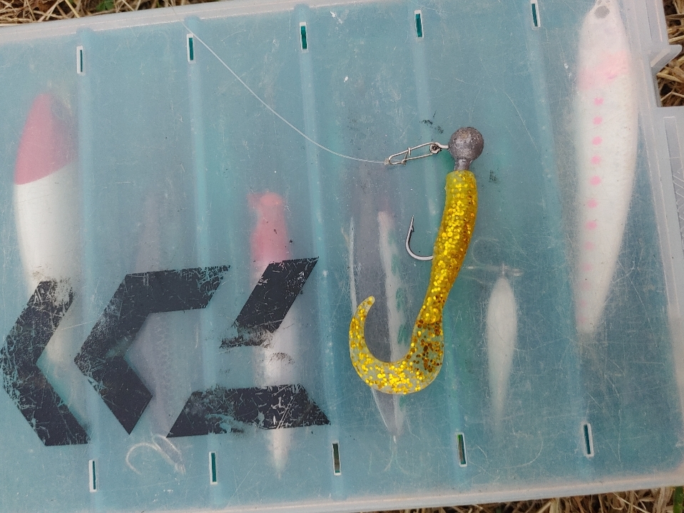 ブラックバス39cm