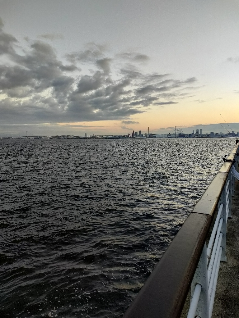 タチウオ釣果もサバのみ