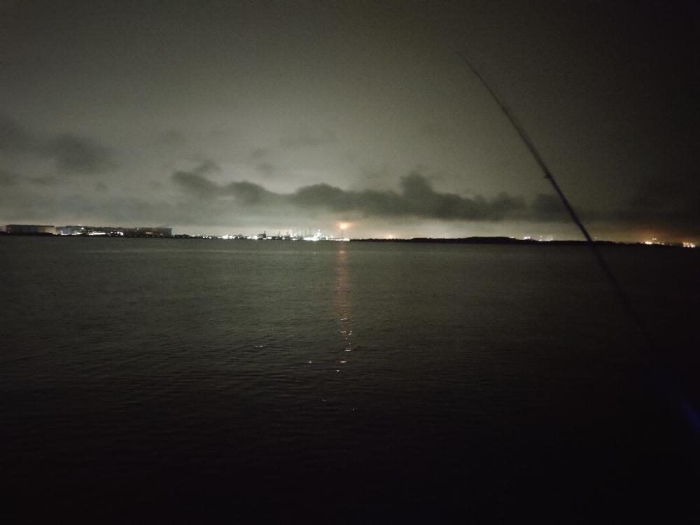 ２年ぶりのタチウオ