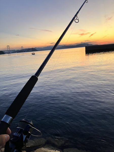 マゴチさんお久しぶり