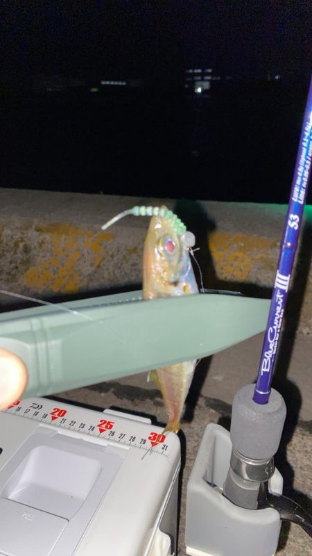 ブルカレⅢ53でアジング