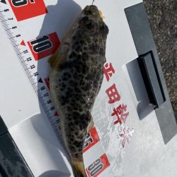 リベンジと入魂