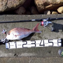 初の釣果に嬉しさ爆発しました。