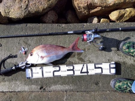 初の釣果に嬉しさ爆発しました。