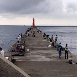 潮が動けど時合無し