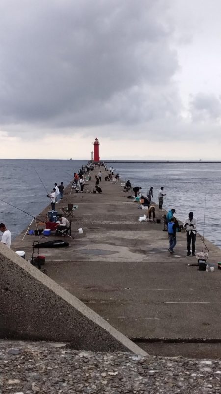 潮が動けど時合無し