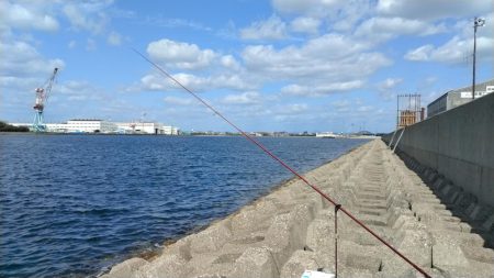 東二見西水路のキス調査