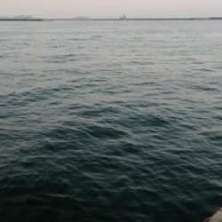 渋い、、、一方釣れたら良型。