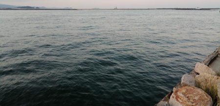 渋い、、、一方釣れたら良型。