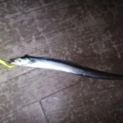 最近は短め😭早くメーター超えしたい❗