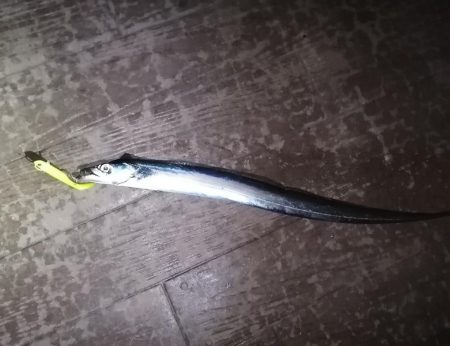 最近は短め😭早くメーター超えしたい❗