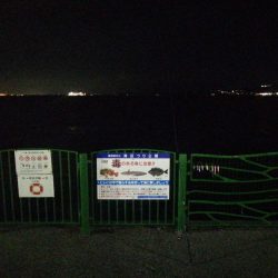 今日は全体的に渋め