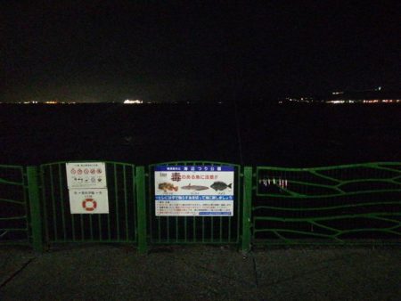 今日は全体的に渋め