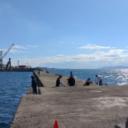 久々の播磨新島釣行