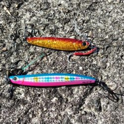 武庫川一文字でサゴシ