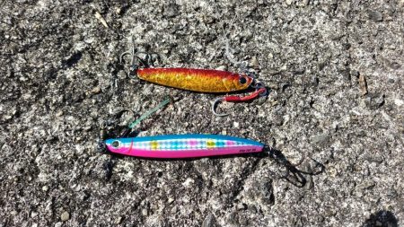 武庫川一文字でサゴシ