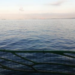 今週は先週よりも渋かった