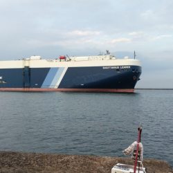 型が良くなり始めた播磨新島のキス