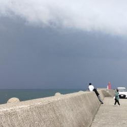 良型キスがアタリ始めました