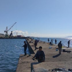 短い時合いを捉える事が出来ました